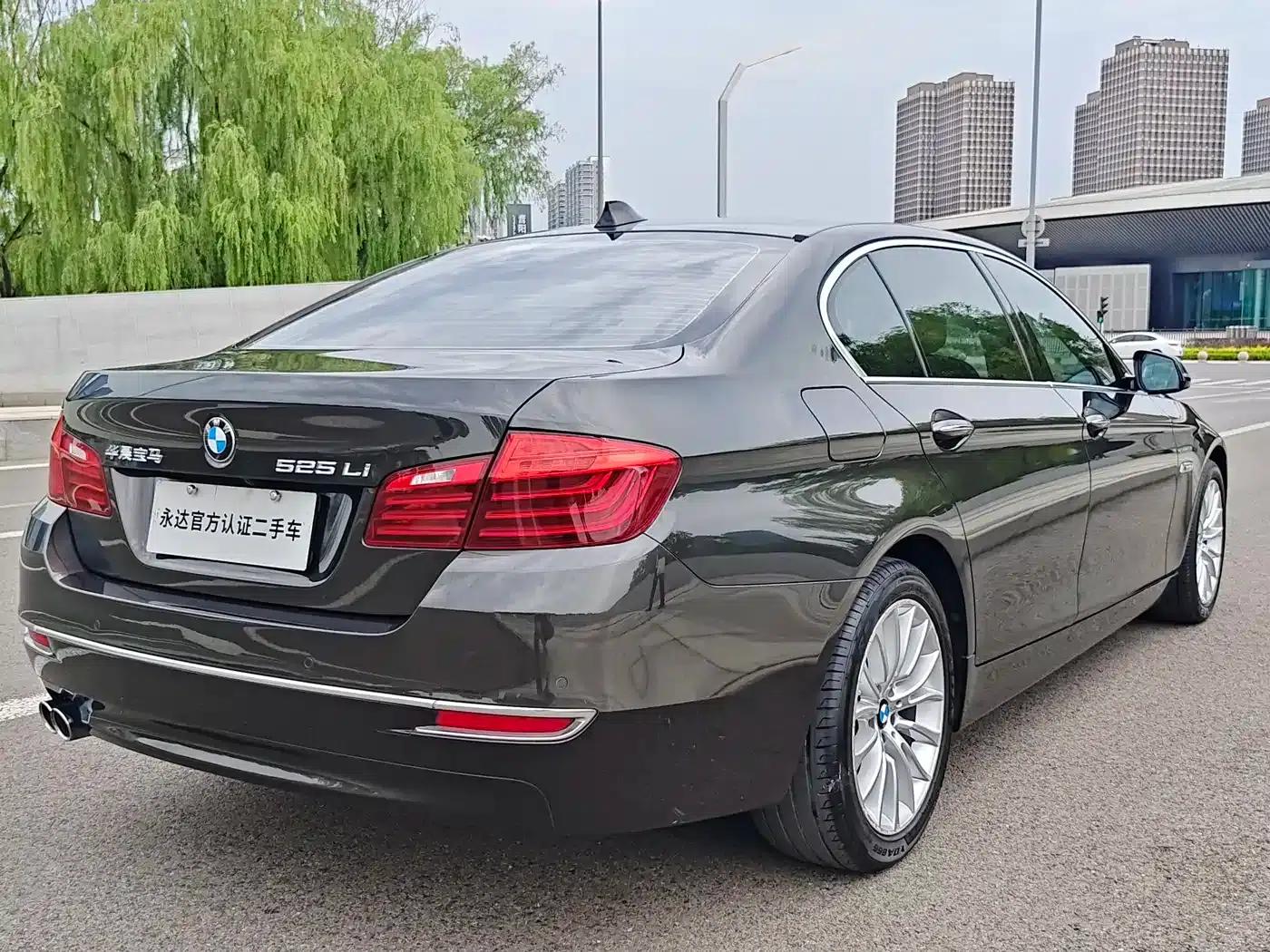 2014 BMW 5 Series 525Li Luxury Design Package — миниатюра 4