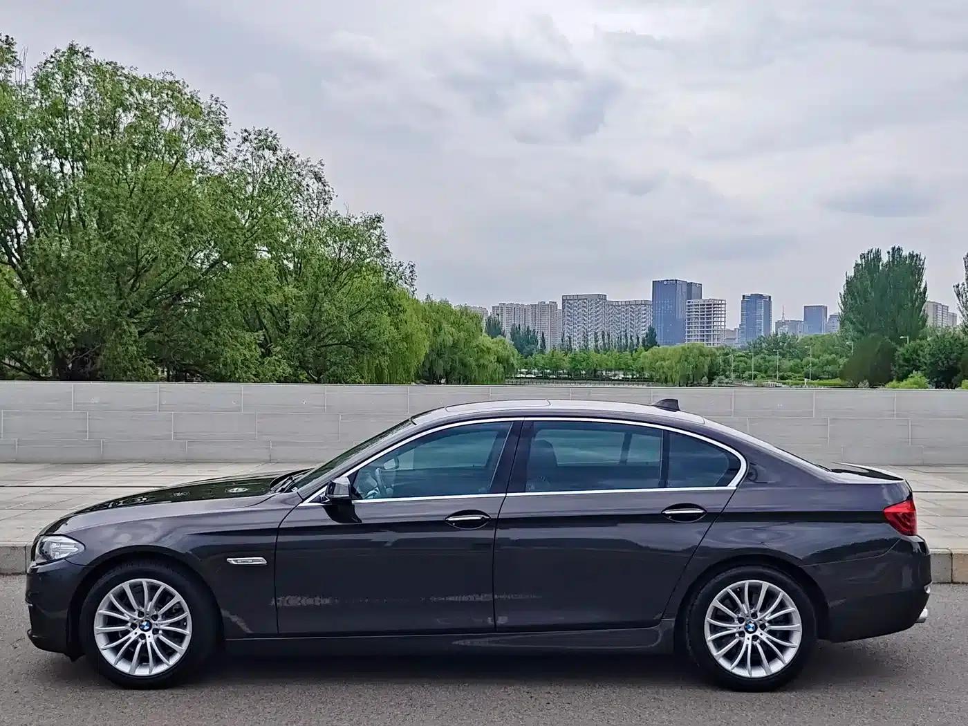 2014 BMW 5 Series 525Li Luxury Design Package — миниатюра 5