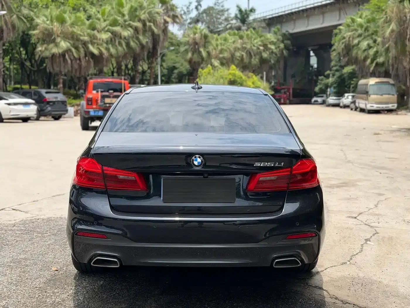 2020 BMW 5 Series 525Li M Sport Package — миниатюра 8