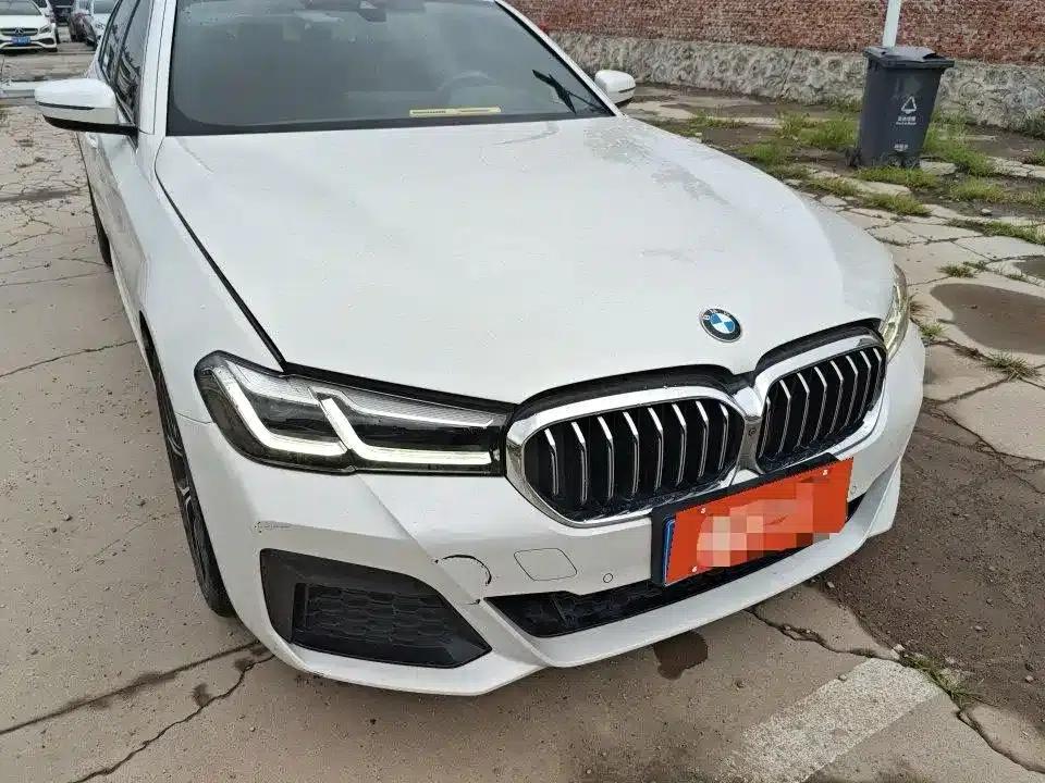 2022 BMW 5 Series 530Li Luxury M Sport Package — миниатюра 6