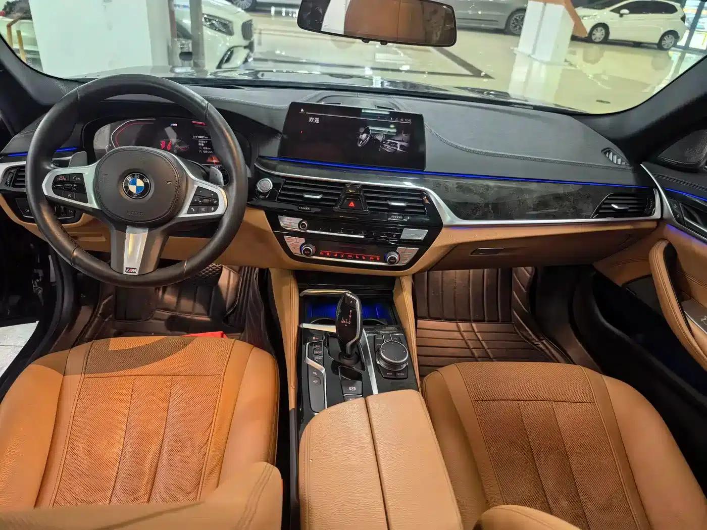 2020 BMW 5 Series 530Li Luxury M Sport Package — миниатюра 5