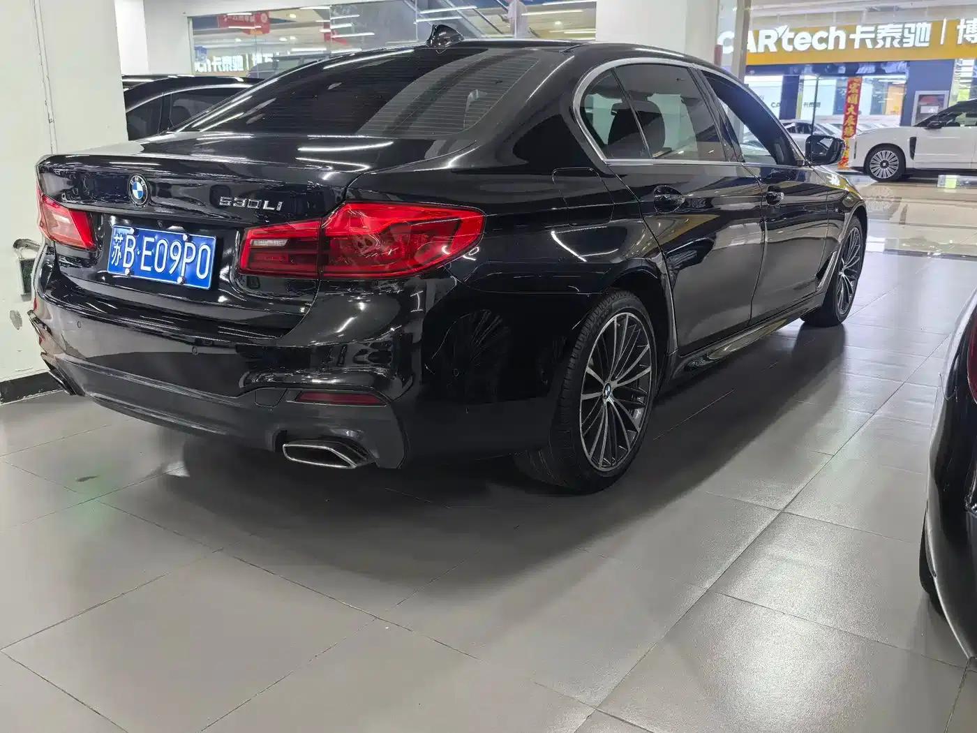 2020 BMW 5 Series 530Li Luxury M Sport Package — миниатюра 8