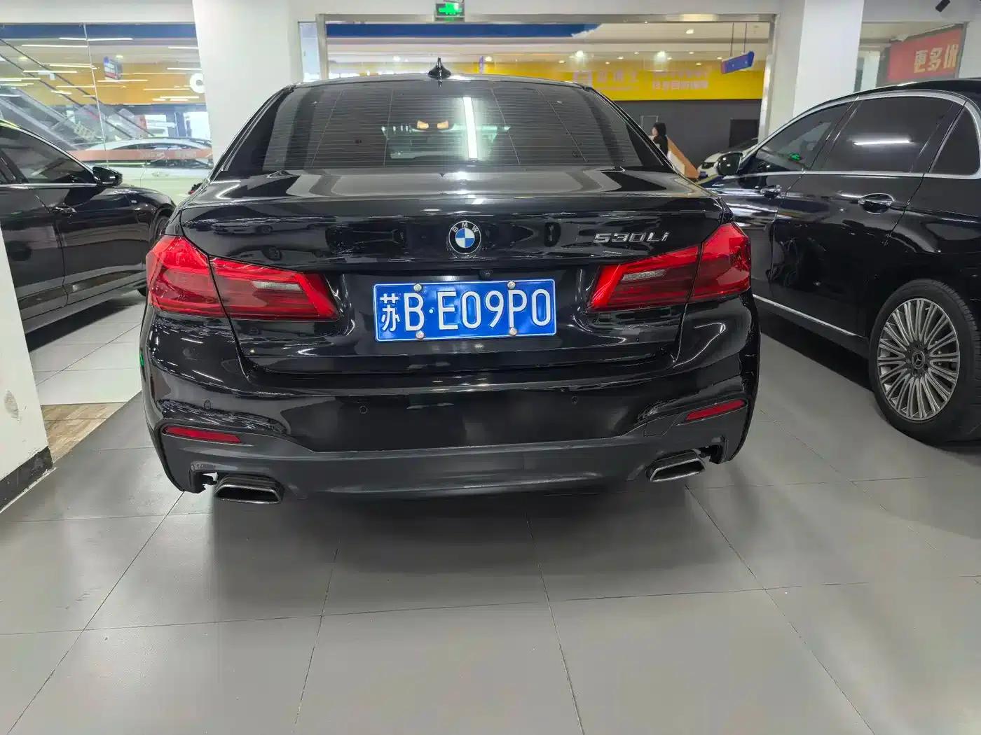 2020 BMW 5 Series 530Li Luxury M Sport Package — миниатюра 9
