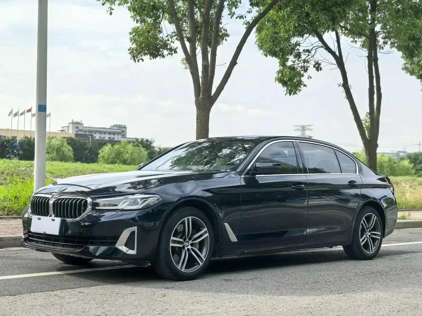 BMW 5 Series 2021 530Li Leading Luxury Package — миниатюра 1