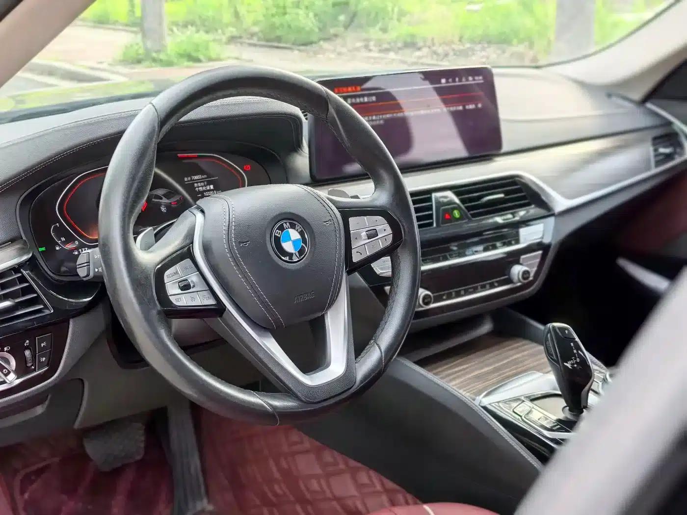 BMW 5 Series 2021 530Li Leading Luxury Package — миниатюра 11