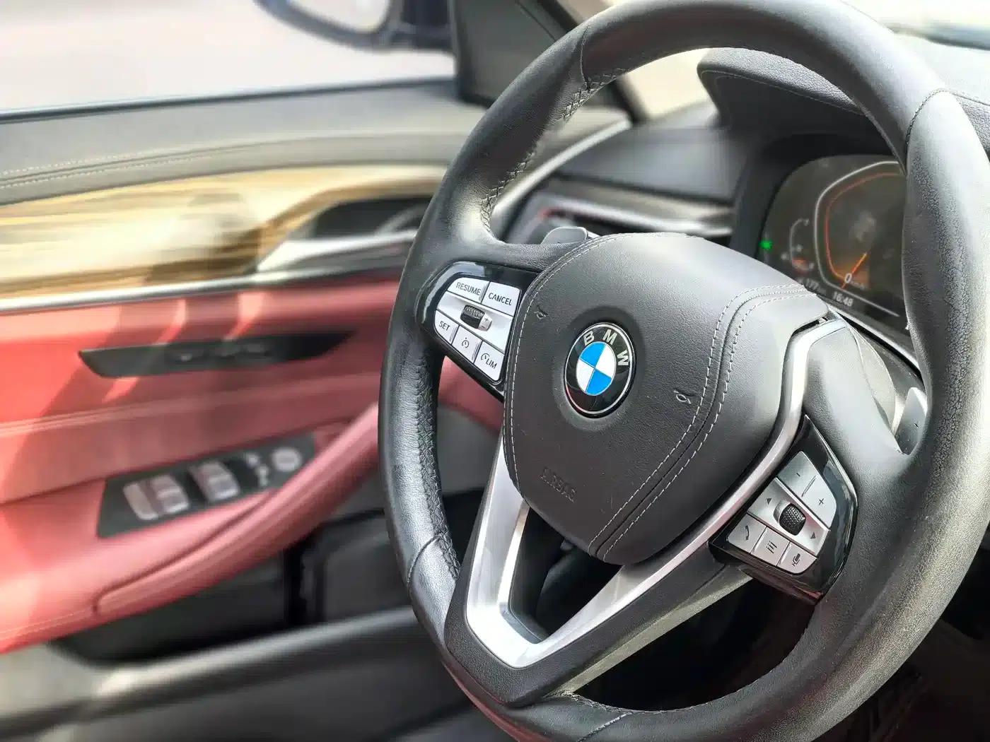 BMW 5 Series 2021 530Li Leading Luxury Package — миниатюра 18