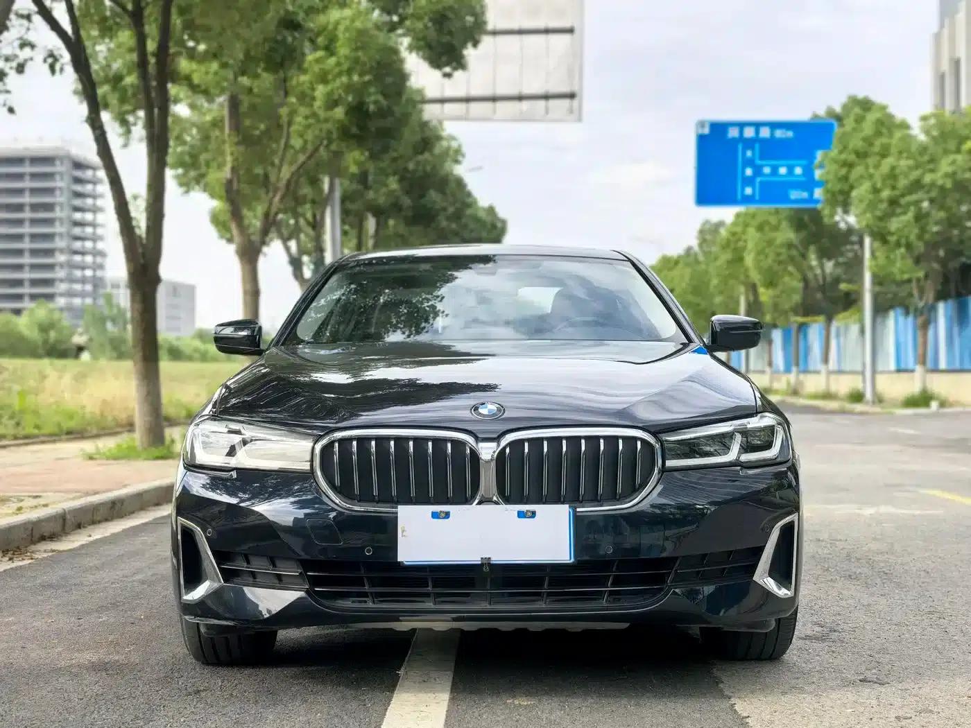 BMW 5 Series 2021 530Li Leading Luxury Package — миниатюра 3