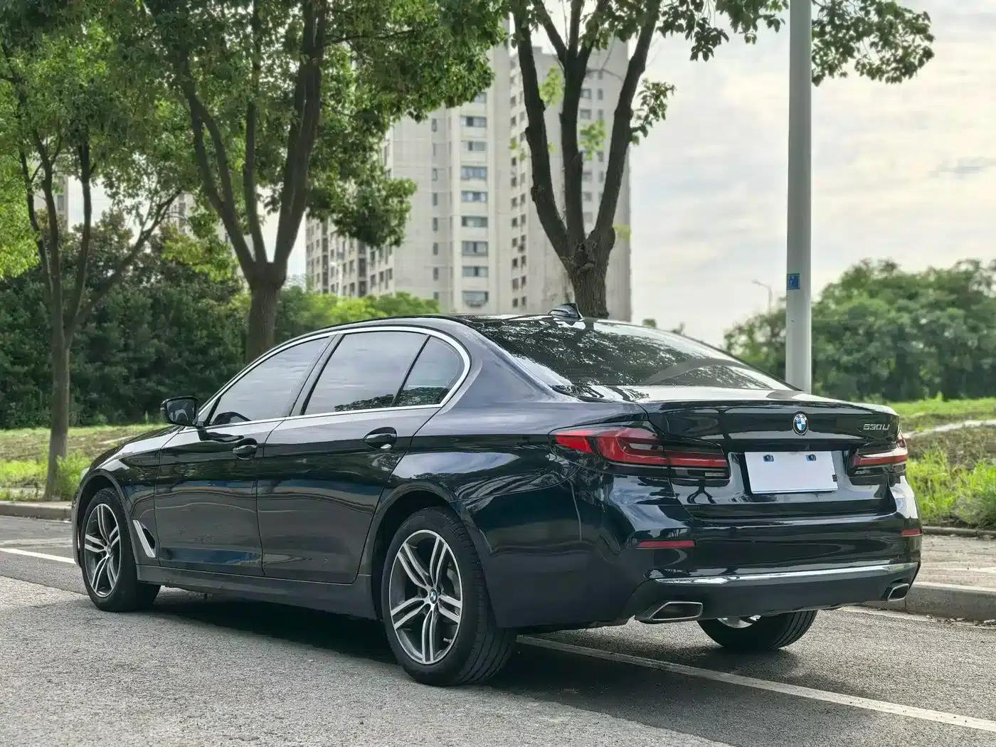BMW 5 Series 2021 530Li Leading Luxury Package — миниатюра 5