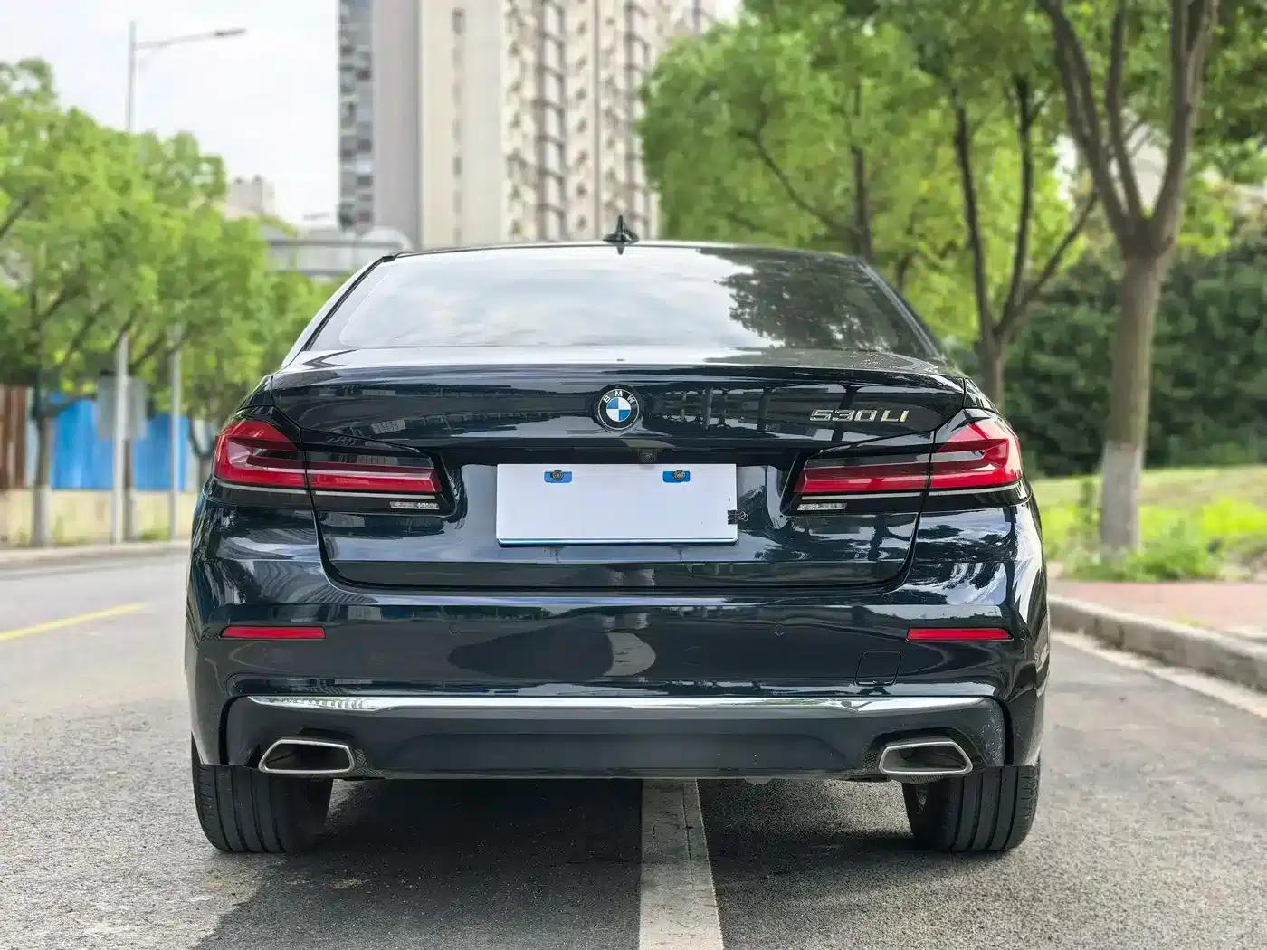 BMW 5 Series 2021 530Li Leading Luxury Package — миниатюра 6