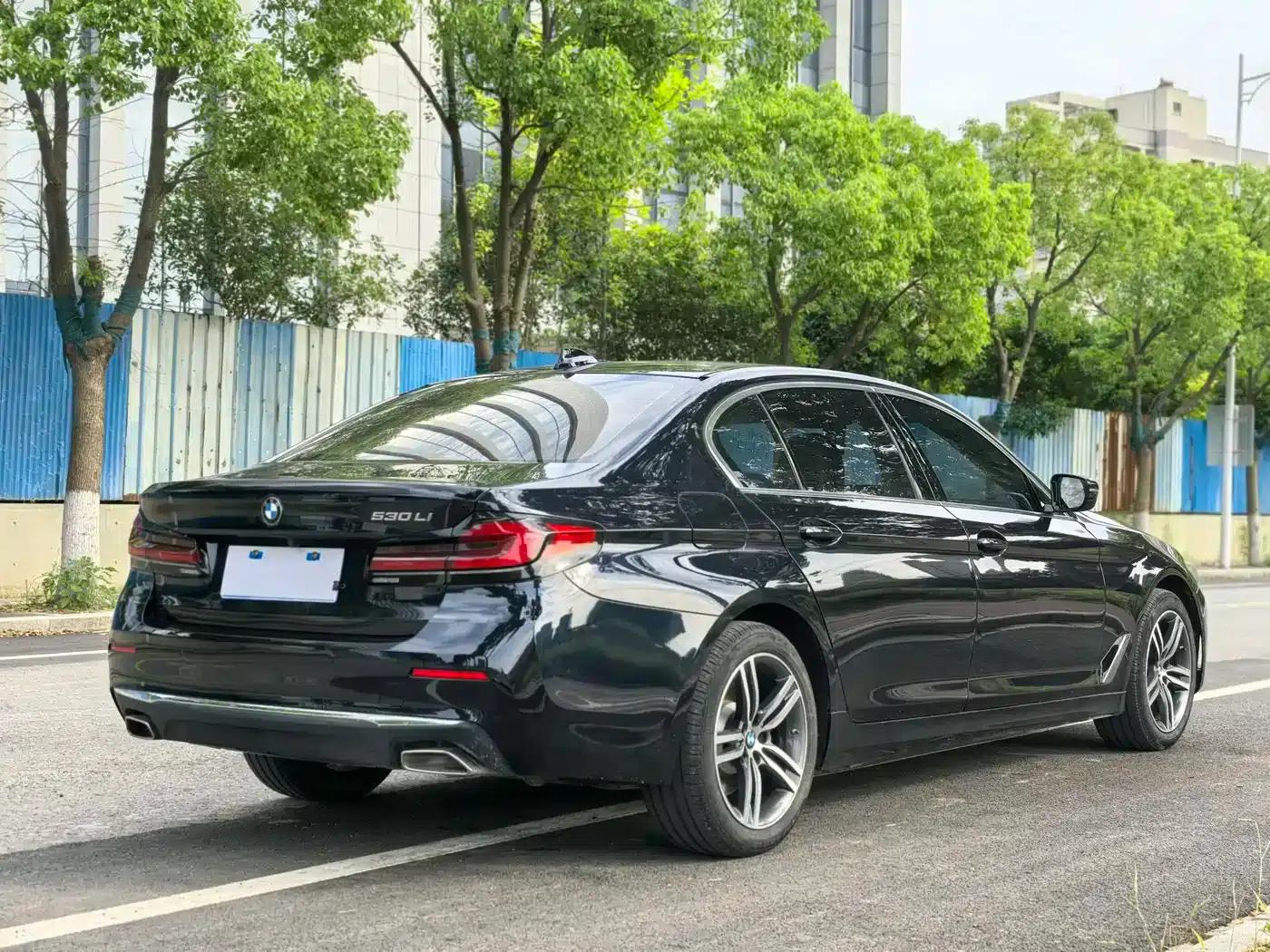 BMW 5 Series 2021 530Li Leading Luxury Package — миниатюра 7