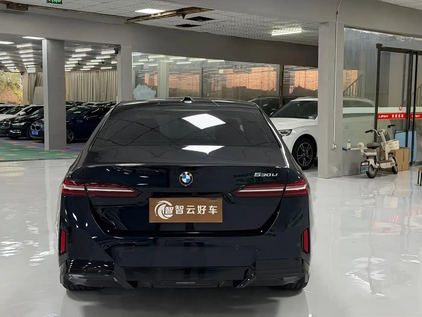 2024 BMW 5 Series 530Li Leading Edition M Sport Package — миниатюра 8