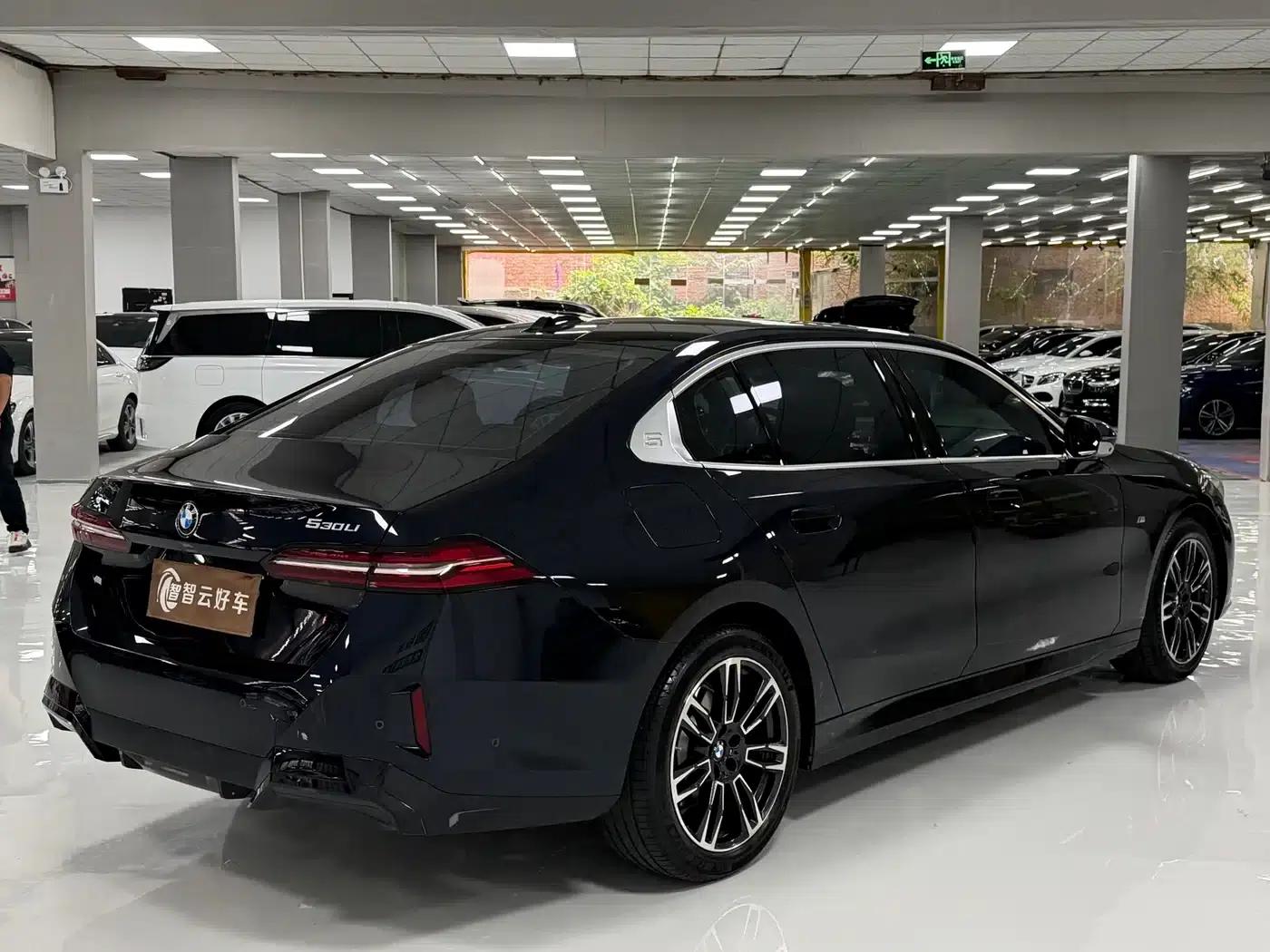 2024 BMW 5 Series 530Li Leading Edition M Sport Package — миниатюра 9