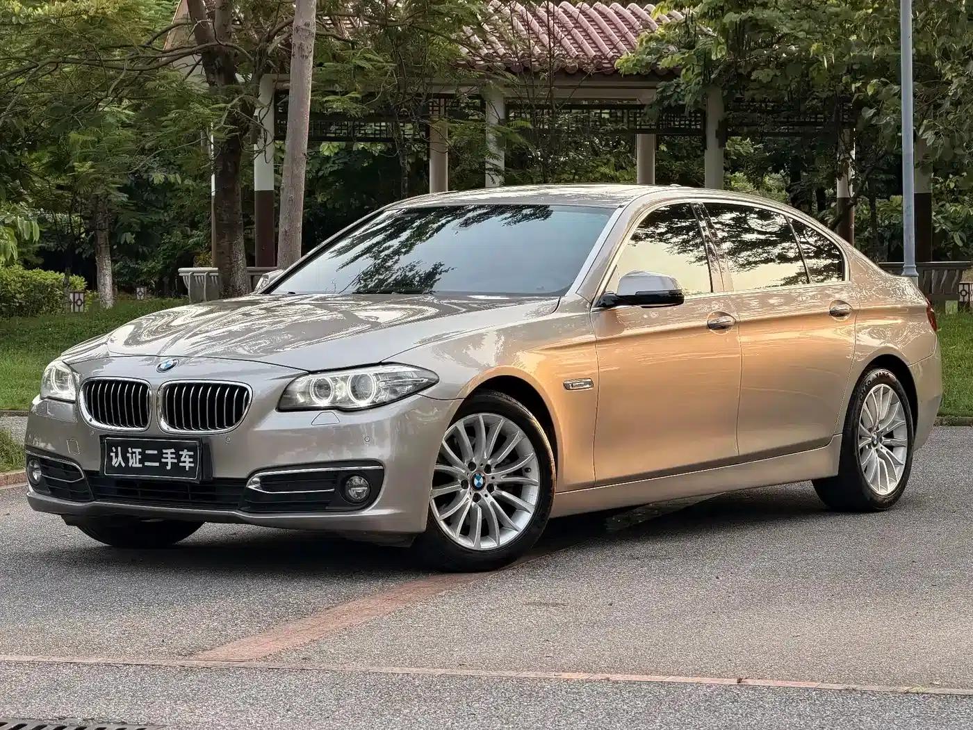 2014 BMW 5 Series 525Li Luxury Design Package — миниатюра 1