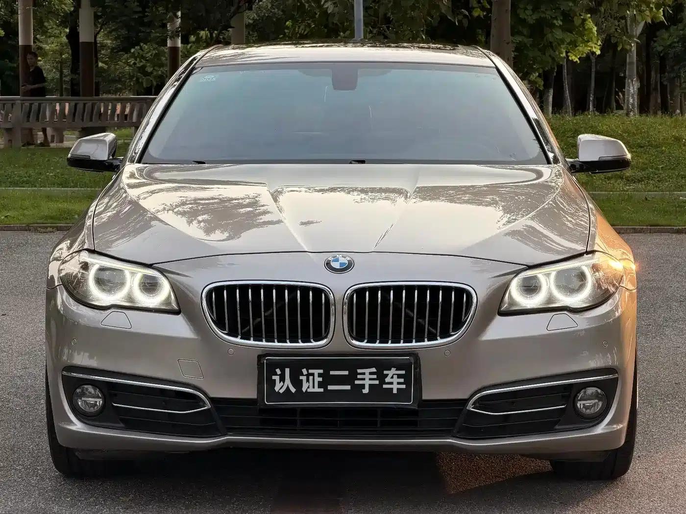 2014 BMW 5 Series 525Li Luxury Design Package — миниатюра 2