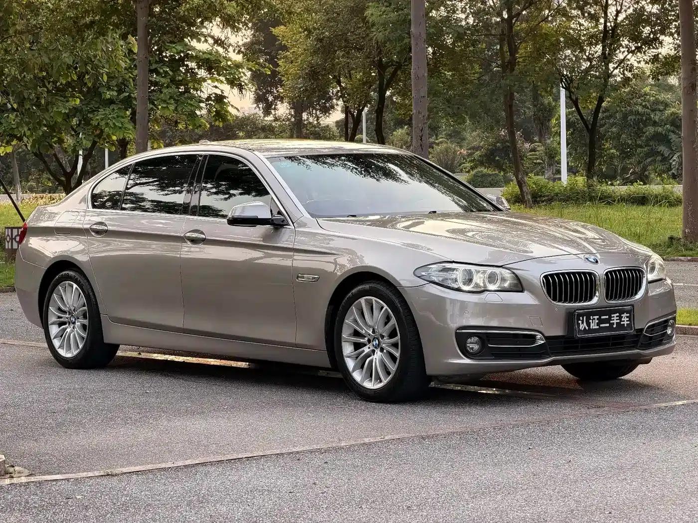 2014 BMW 5 Series 525Li Luxury Design Package — миниатюра 3