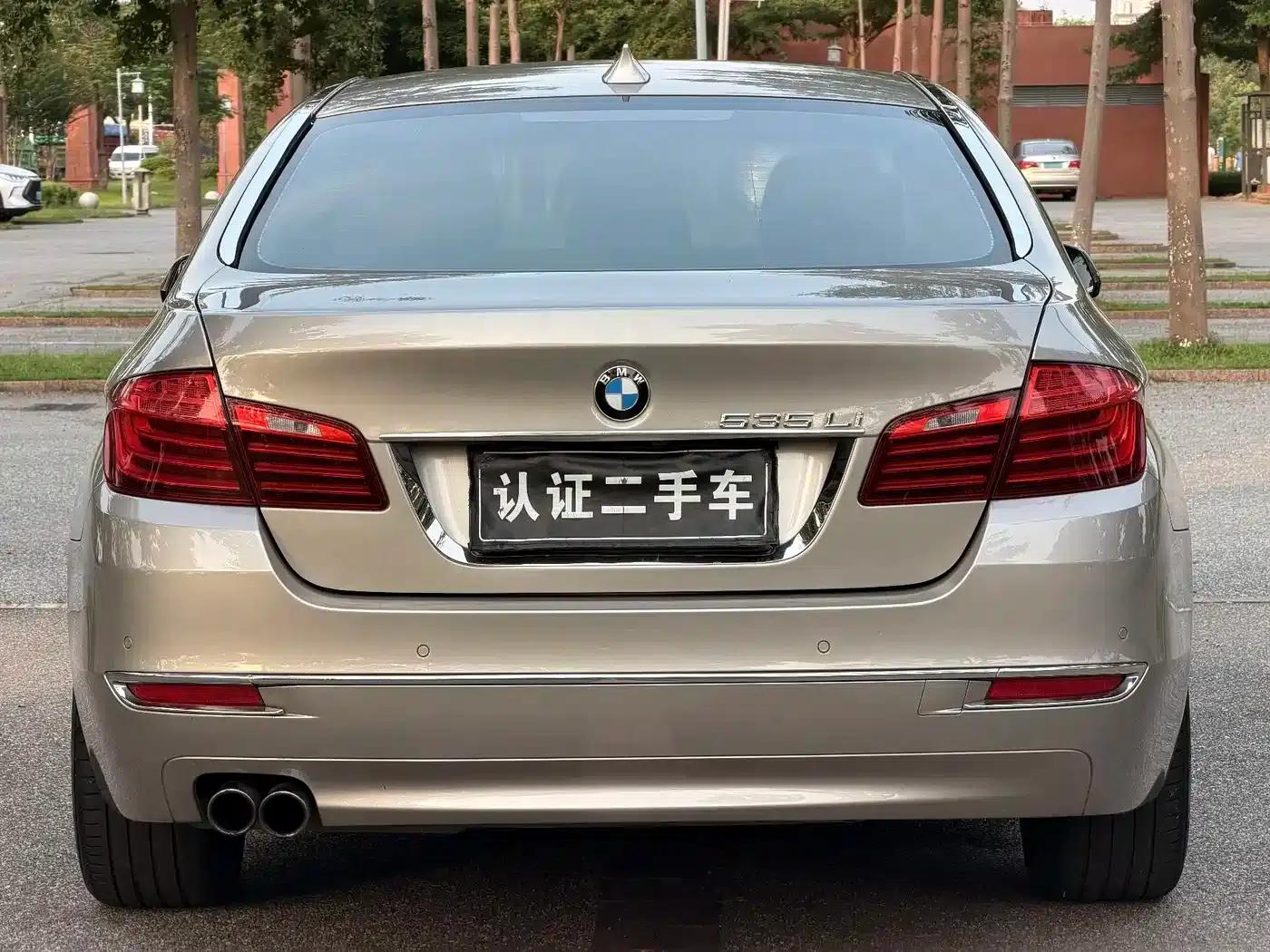 2014 BMW 5 Series 525Li Luxury Design Package — миниатюра 8