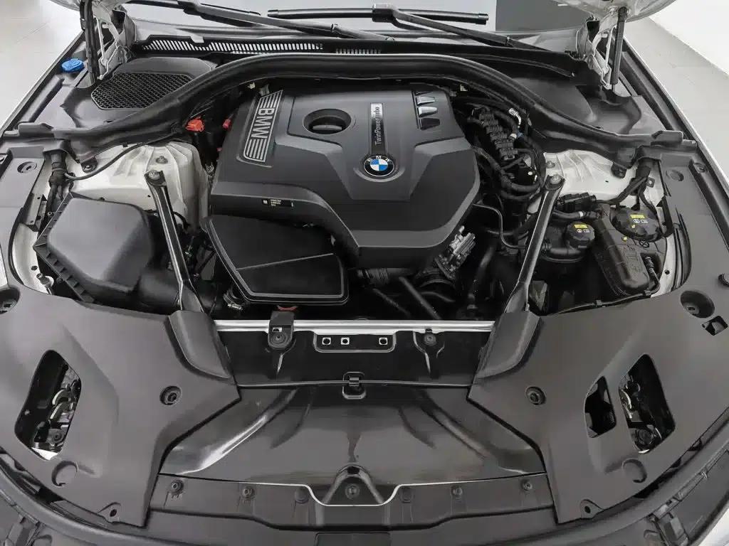 BMW 5 Series 2018 528Li Launch Special Edition — миниатюра 6