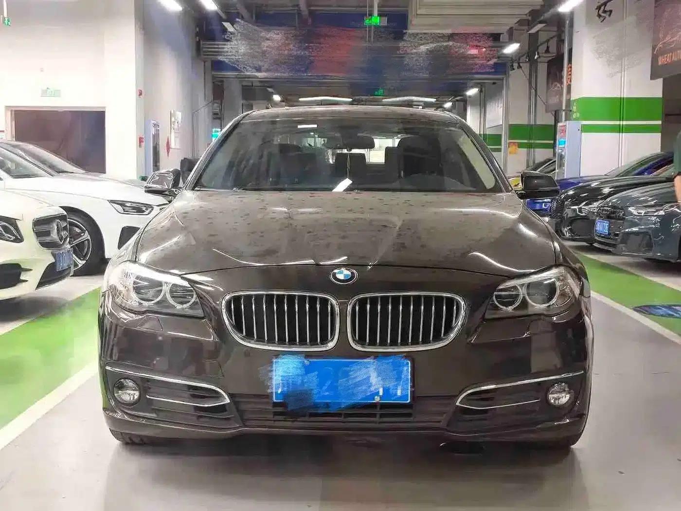 2014 BMW 5 Series 525Li Luxury Design Package — миниатюра 2