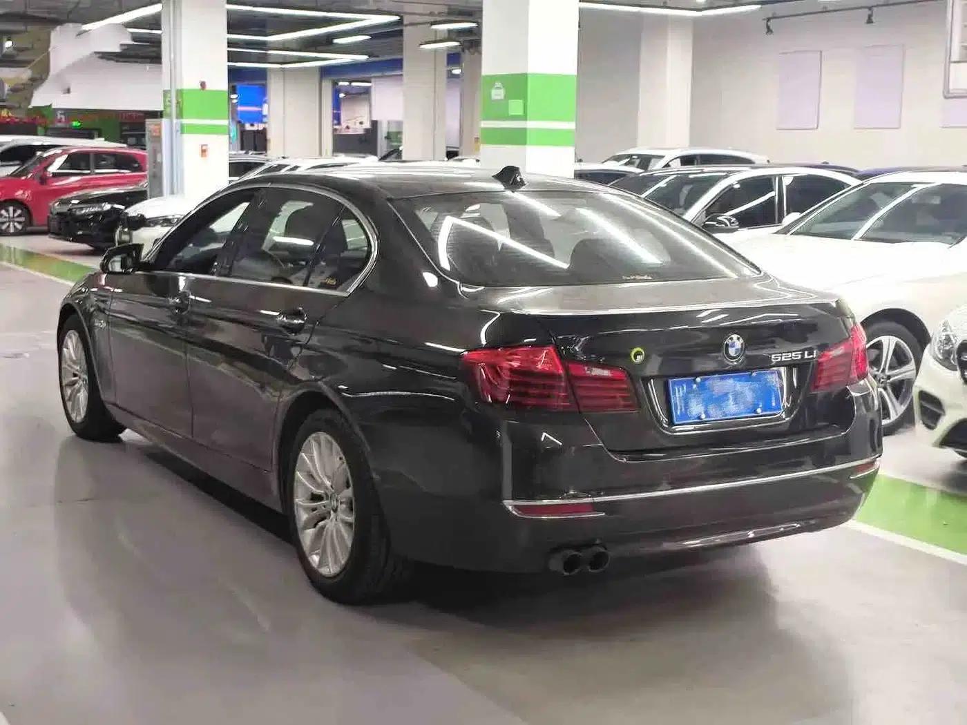 2014 BMW 5 Series 525Li Luxury Design Package — миниатюра 5