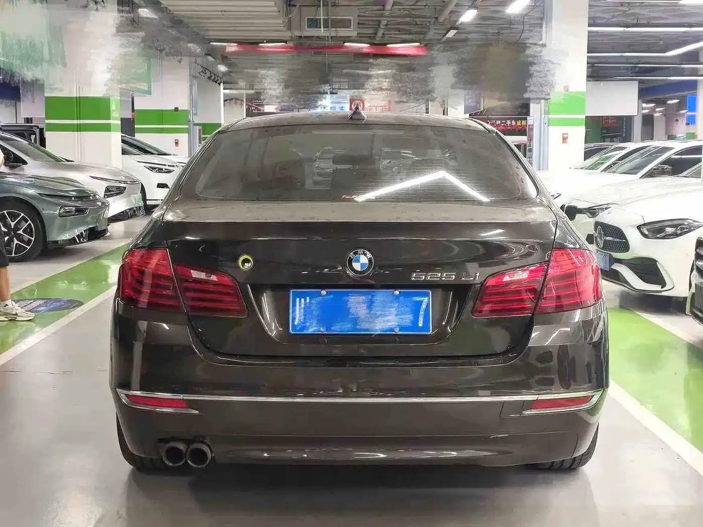 2014 BMW 5 Series 525Li Luxury Design Package — миниатюра 6