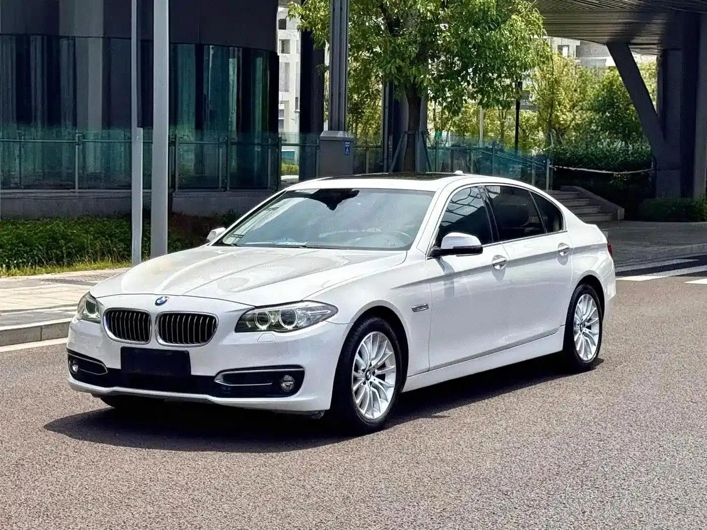 2014 BMW 5 Series 525Li Luxury Design Package — миниатюра 1