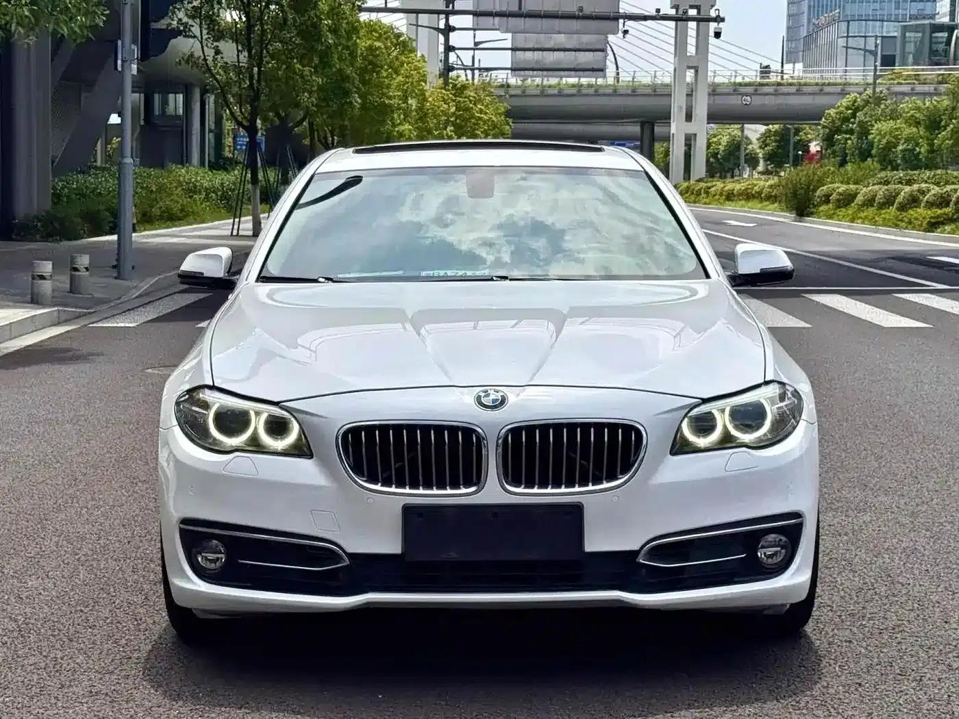2014 BMW 5 Series 525Li Luxury Design Package — миниатюра 2