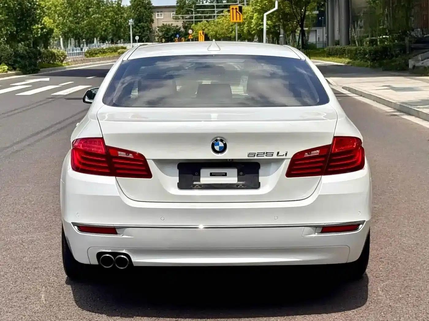 2014 BMW 5 Series 525Li Luxury Design Package — миниатюра 8