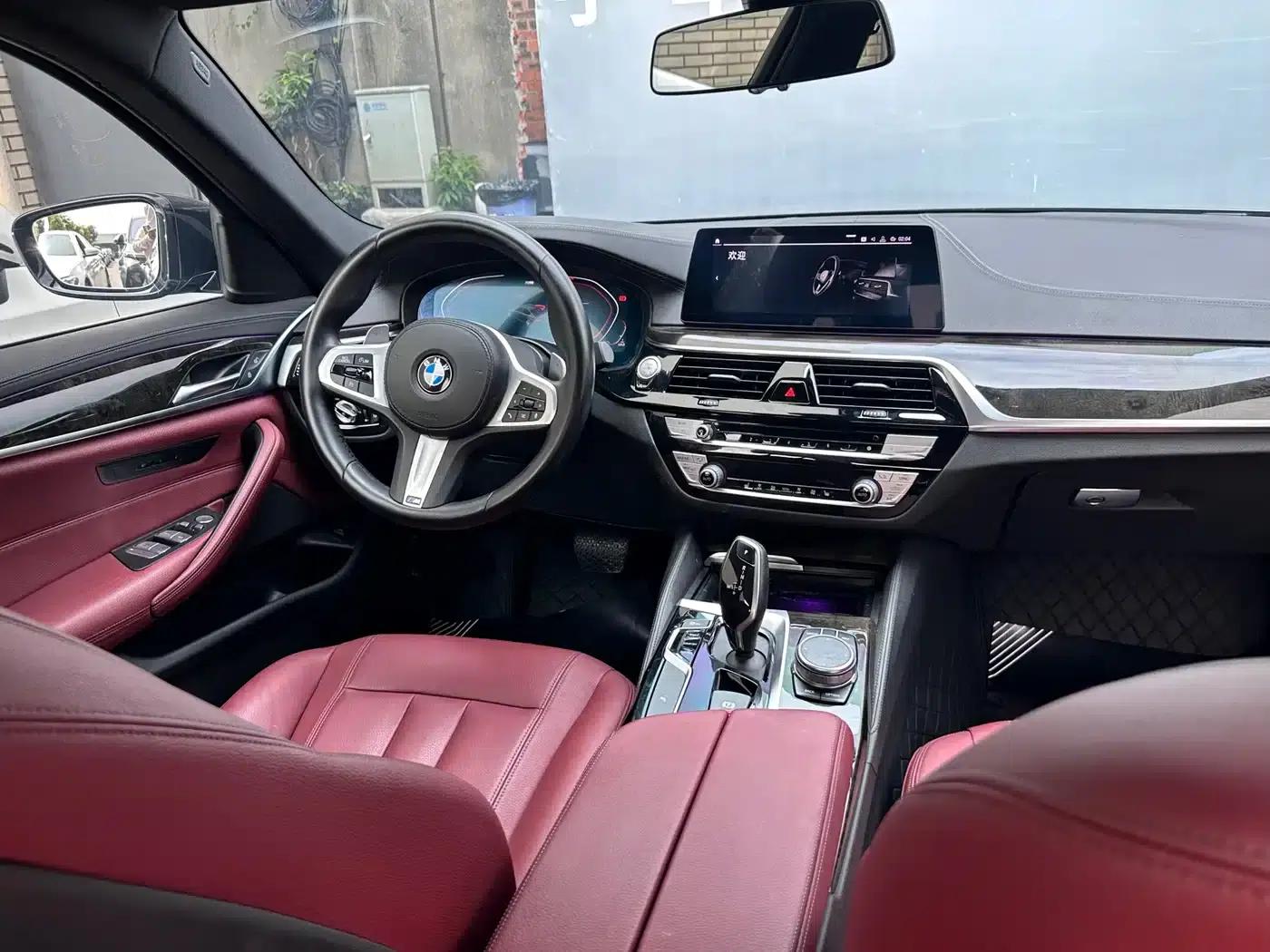 2020 BMW 5 Series 530Li Leading Edition M Sport Package — миниатюра 10