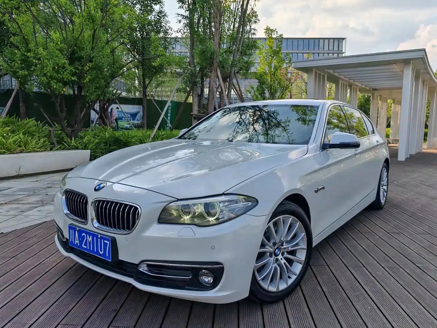 2014 BMW 5 Series 525Li Luxury Design Package — миниатюра 1