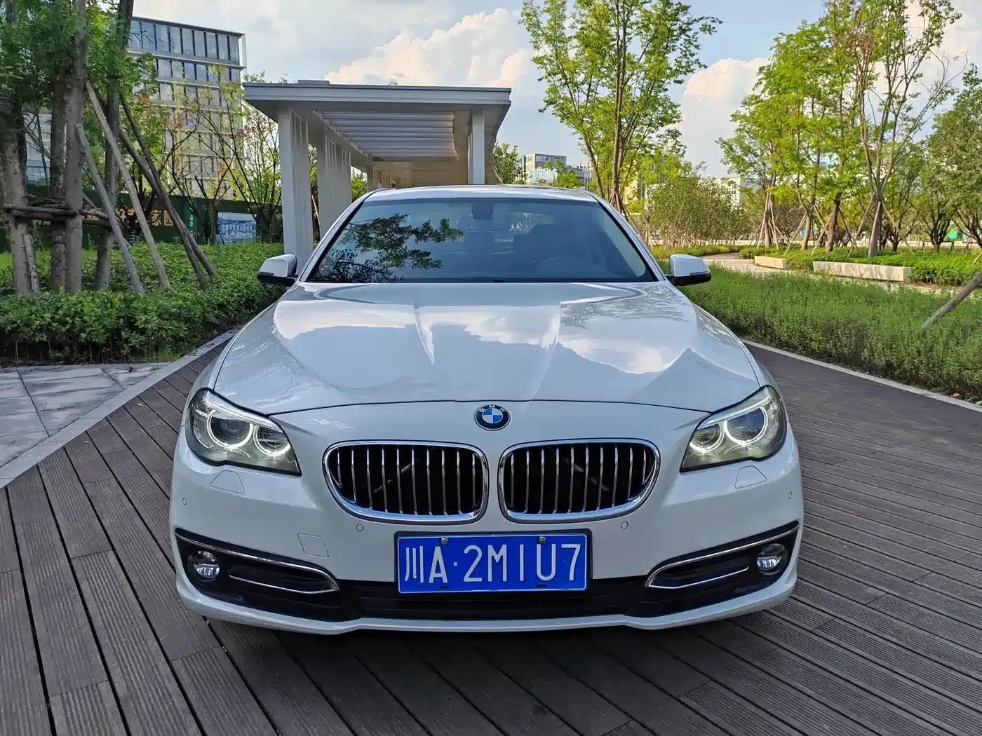 2014 BMW 5 Series 525Li Luxury Design Package — миниатюра 2