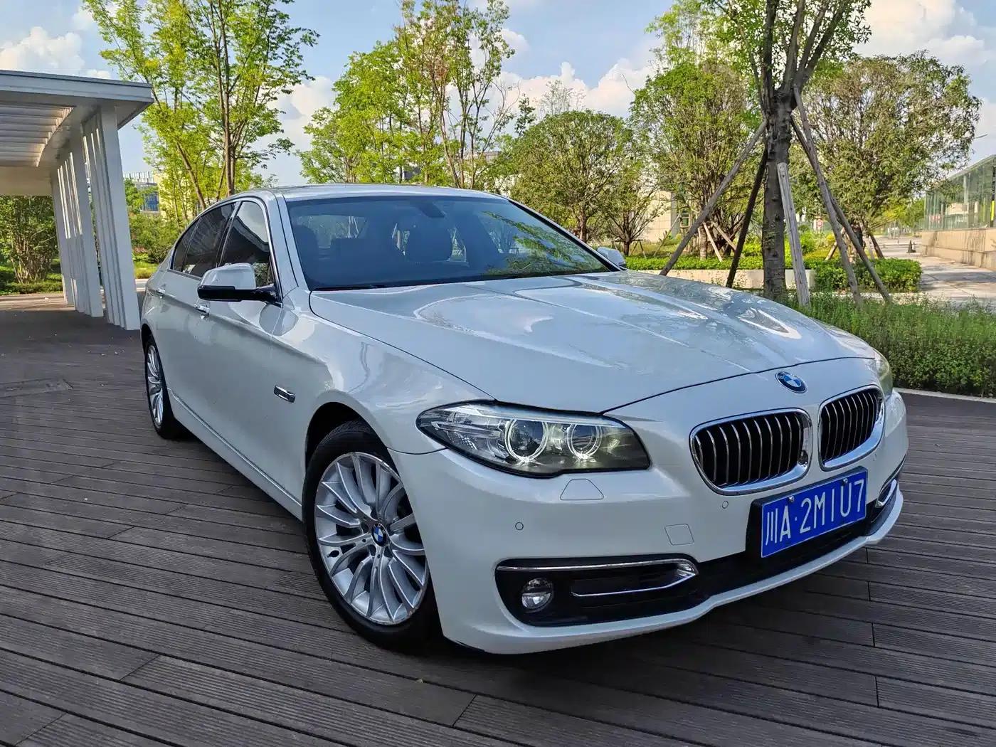 2014 BMW 5 Series 525Li Luxury Design Package — миниатюра 3