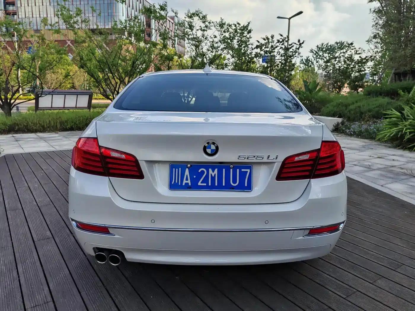 2014 BMW 5 Series 525Li Luxury Design Package — миниатюра 5