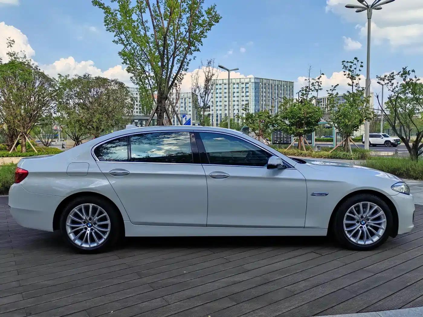 2014 BMW 5 Series 525Li Luxury Design Package — миниатюра 7