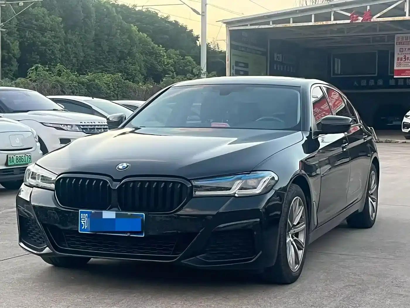BMW 5 Series 2018 528Li Launch Special Edition — миниатюра 1