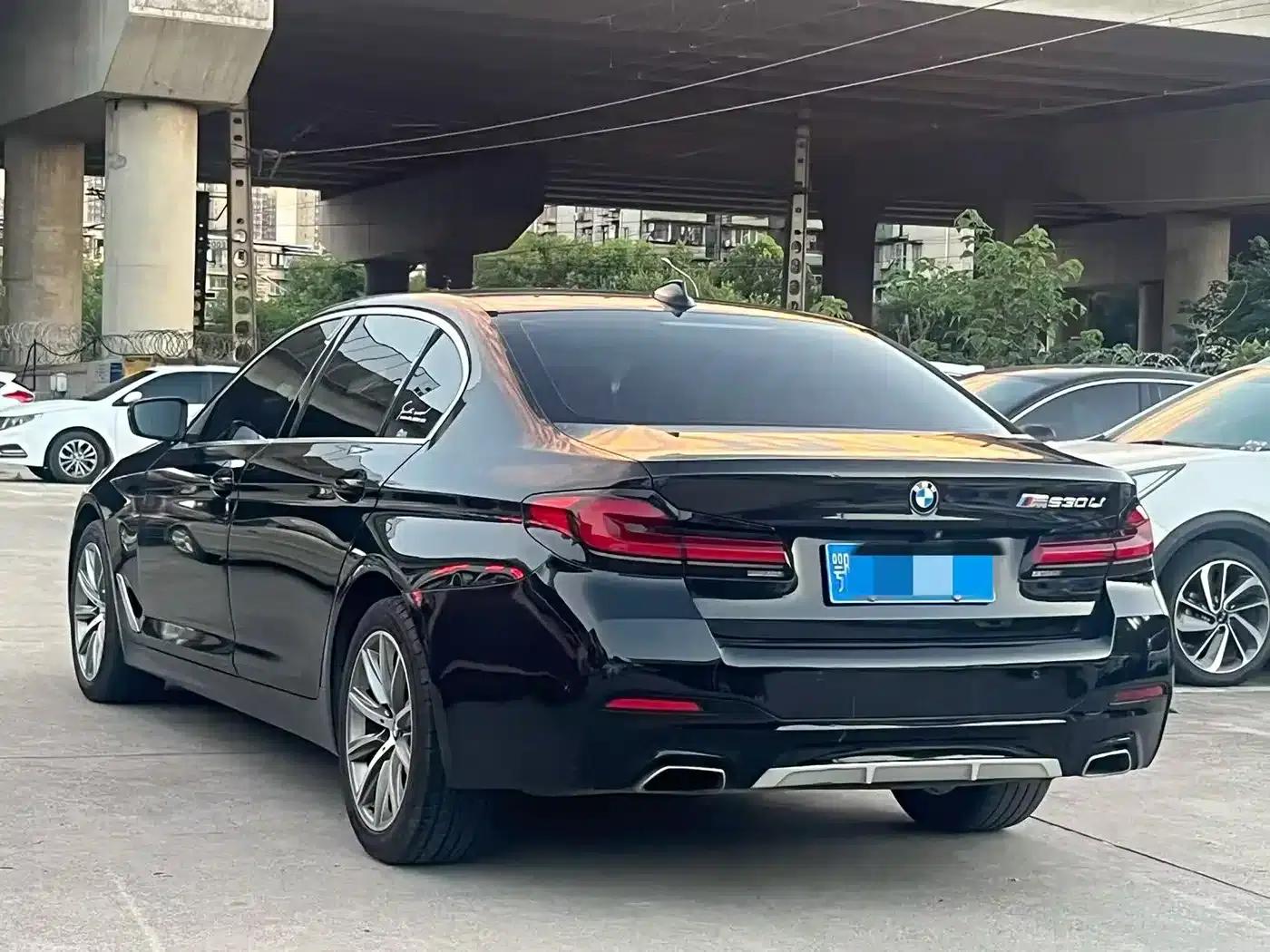 BMW 5 Series 2018 528Li Launch Special Edition — миниатюра 4