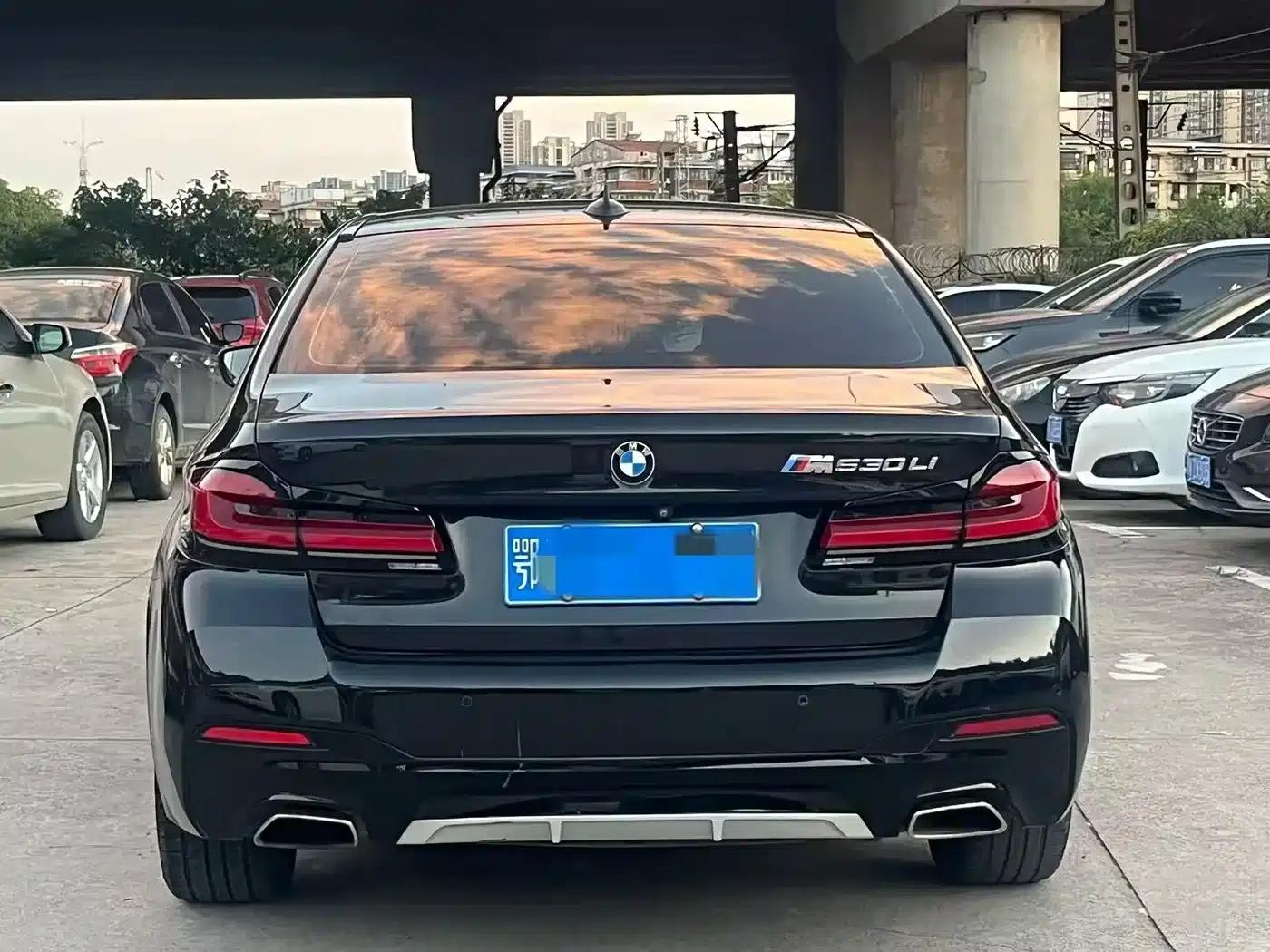 BMW 5 Series 2018 528Li Launch Special Edition — миниатюра 5