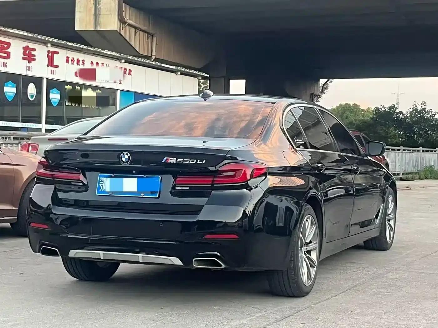BMW 5 Series 2018 528Li Launch Special Edition — миниатюра 6
