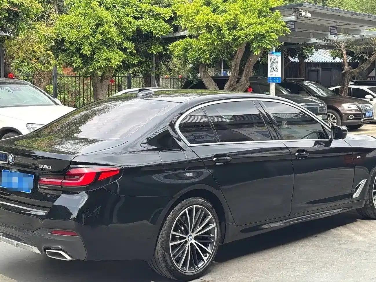 2021 BMW 5 Series 530Li Leading Edition M Sport Package — миниатюра 7