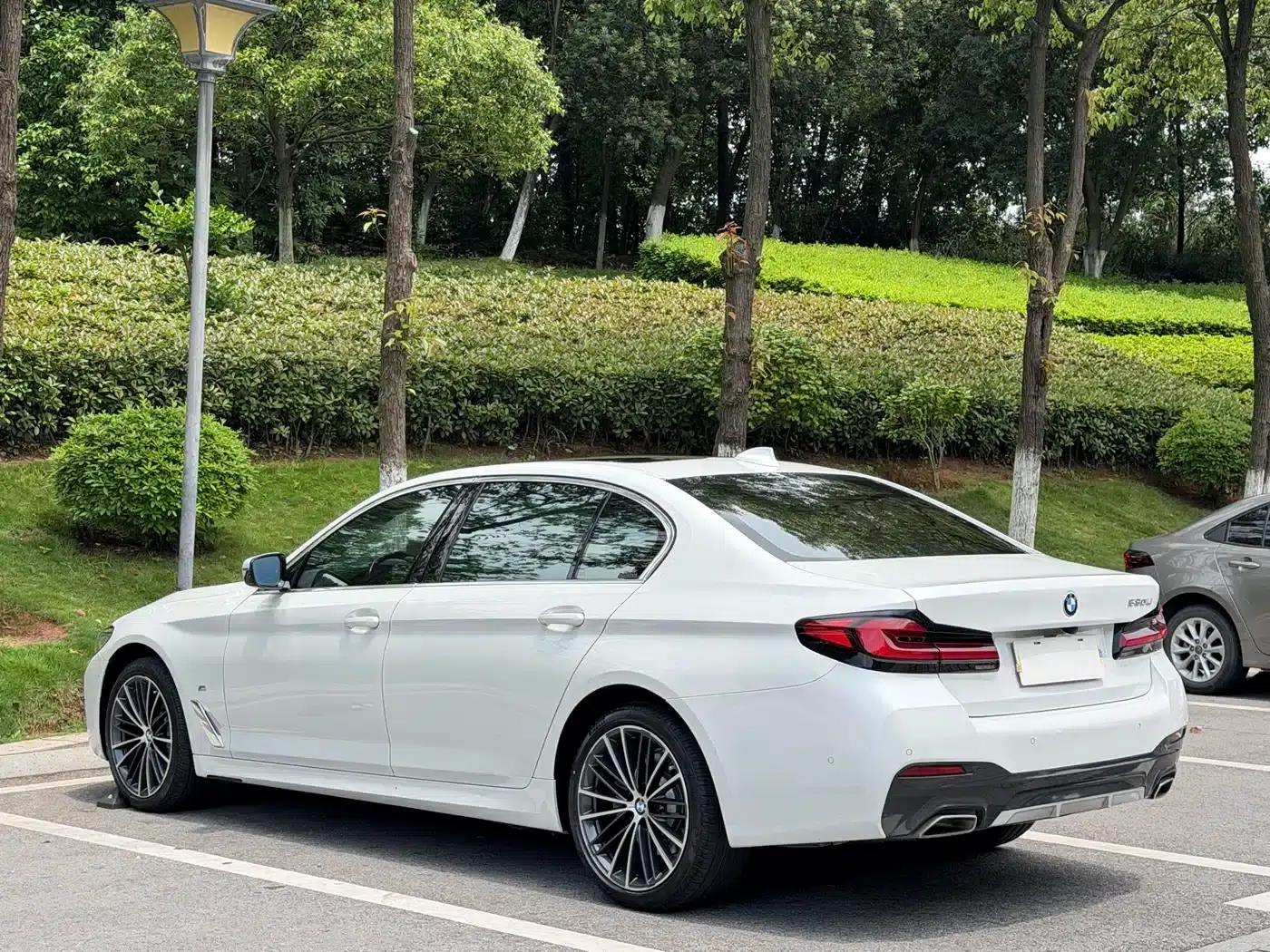 2021 BMW 5 Series 530Li Leading Edition M Sport Package — миниатюра 7