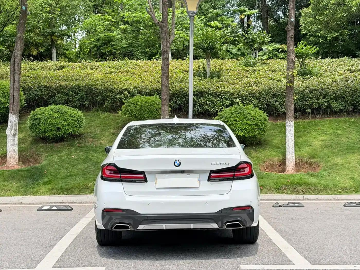 2021 BMW 5 Series 530Li Leading Edition M Sport Package — миниатюра 8