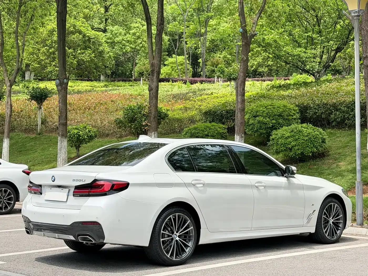 2021 BMW 5 Series 530Li Leading Edition M Sport Package — миниатюра 9