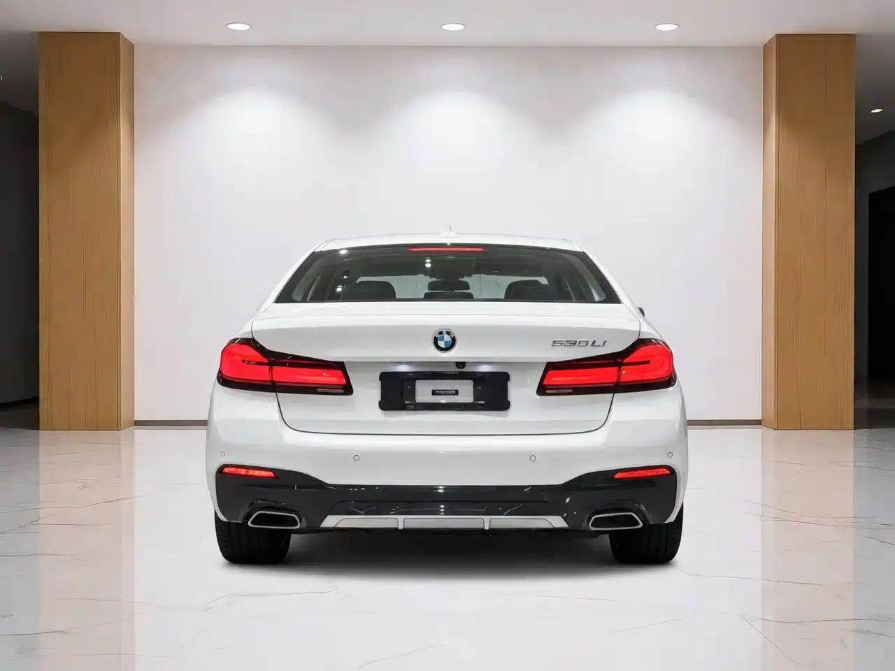 2021 BMW 5 Series 530Li Leading Edition M Sport Package — миниатюра 8