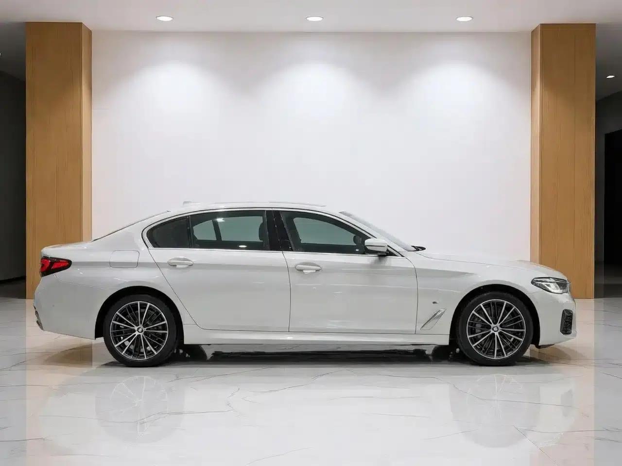 2021 BMW 5 Series 530Li Leading Edition M Sport Package — миниатюра 9