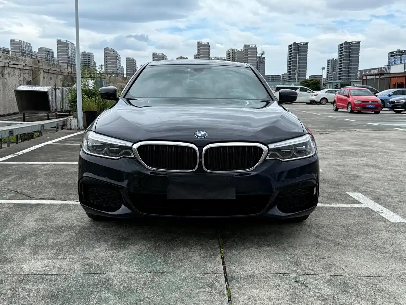 2020 BMW 5 Series 530Li Luxury M Sport Package — миниатюра 2