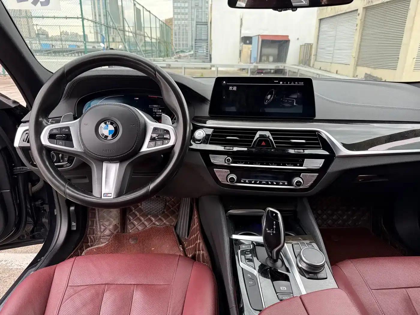 2020 BMW 5 Series 530Li Luxury M Sport Package — миниатюра 5