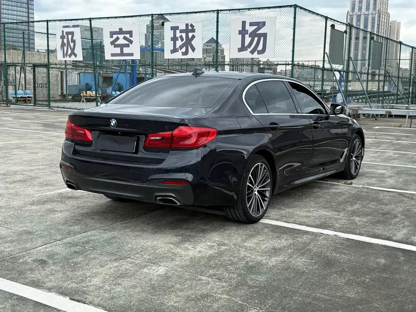 2020 BMW 5 Series 530Li Luxury M Sport Package — миниатюра 8