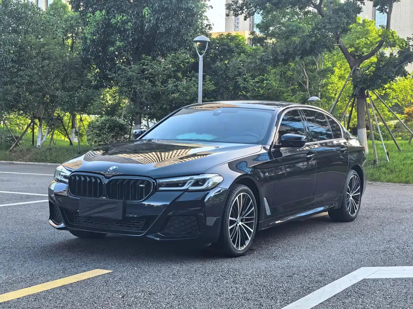 2021 BMW 5 Series 530Li Leading Edition M Sport Package — миниатюра 1
