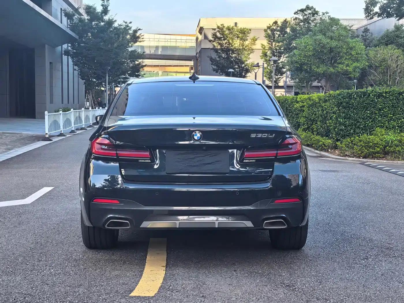 2021 BMW 5 Series 530Li Leading Edition M Sport Package — миниатюра 5