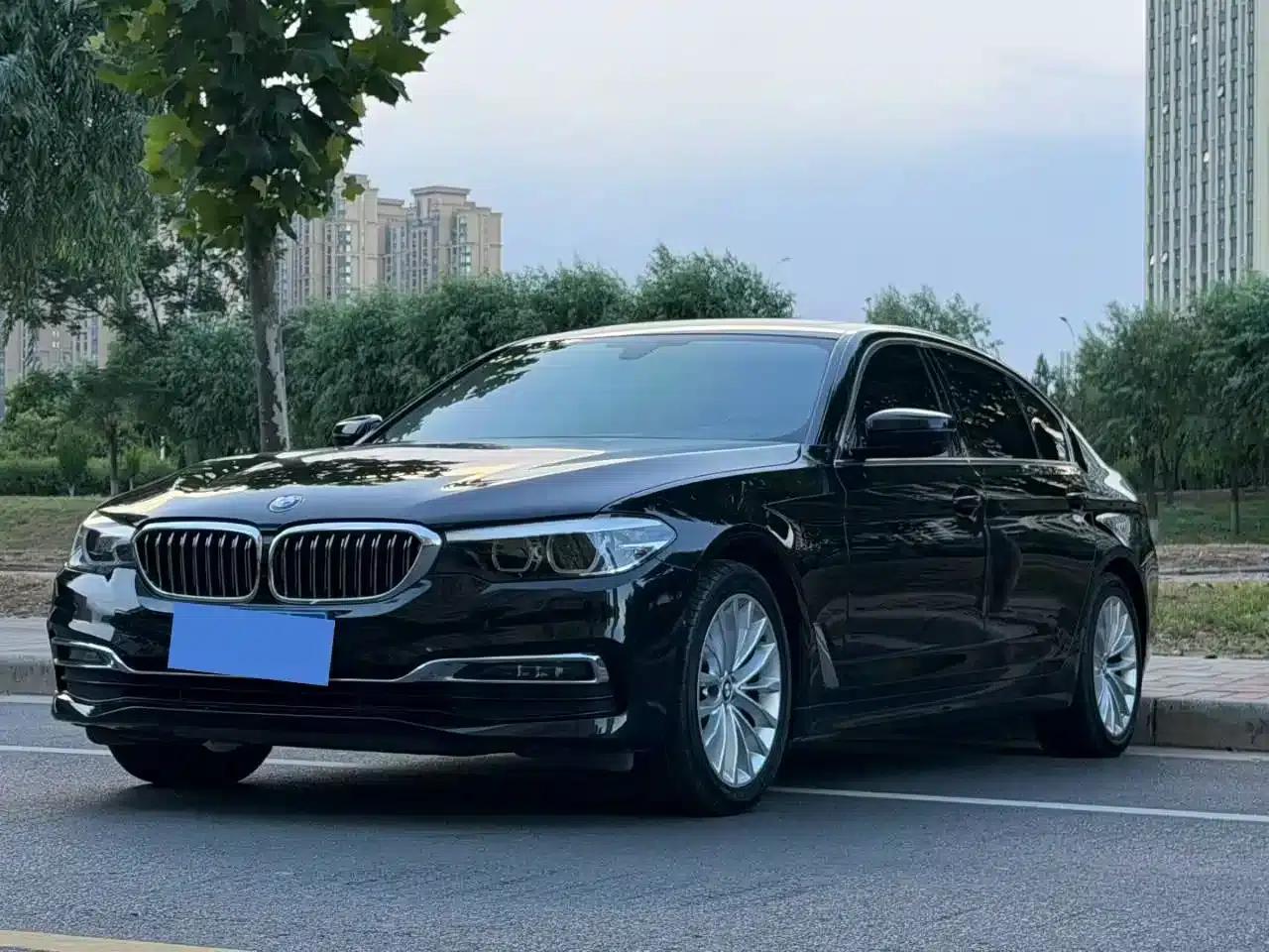2019 BMW 5 Series 525Li Luxury Package — миниатюра 1