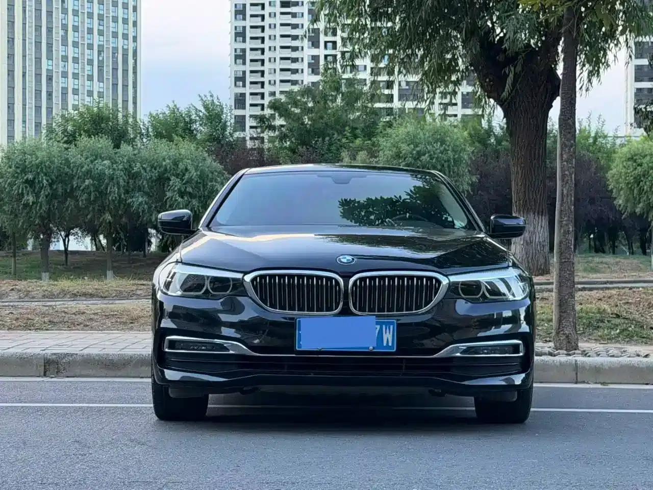 2019 BMW 5 Series 525Li Luxury Package — миниатюра 2